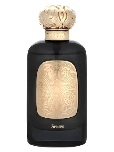 Senses