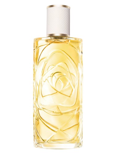 Lancôme Ô Zenith