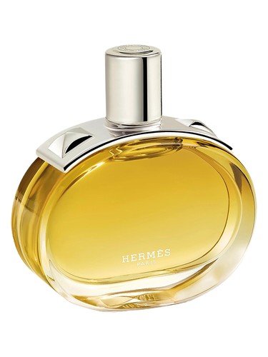 Hermès Barénia Intense