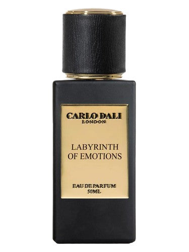Carlo Dali Labyrinth of Emotions