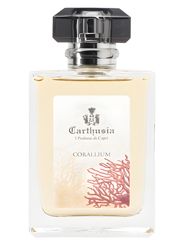 Carthusia Corallium