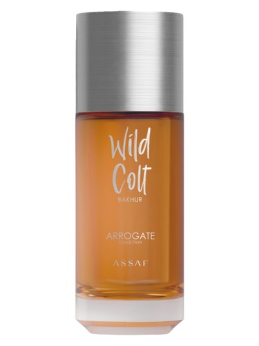 Assaf Wild Colt Bakhur