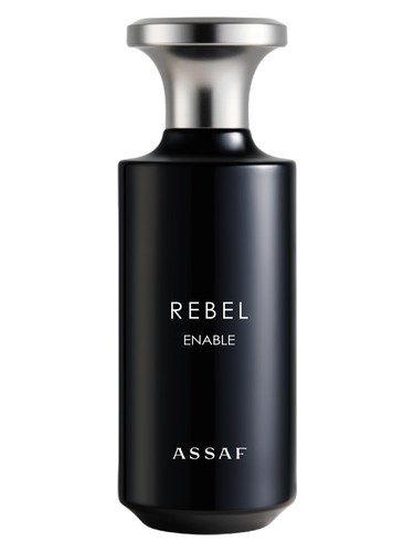 Assaf Rebel
