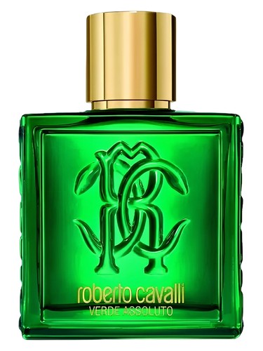 Roberto Cavalli Roberto Cavalli Uomo Verde Assoluto