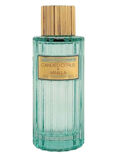 Captivating Essences Candied Citrus & Vanilla