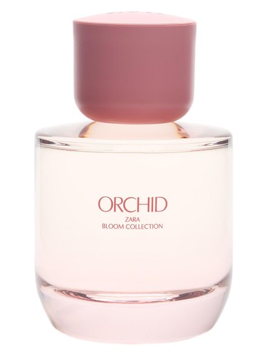 Zara Orchid