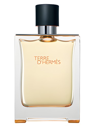 Hermès Terre d'Hermès