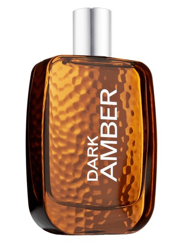 Bath & Body Works Dark Amber for Men