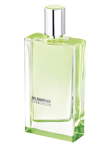 Jil Sander Evergreen