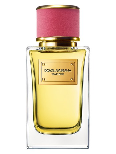Dolce&Gabbana Velvet Rose