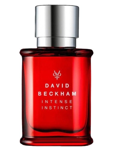 David Beckham Intense Instinct