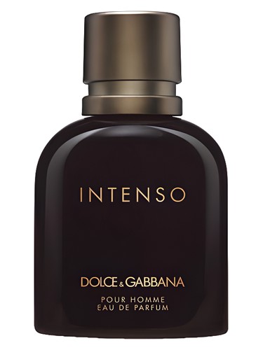 Dolce&Gabbana Dolce&Gabbana Pour Homme Intenso
