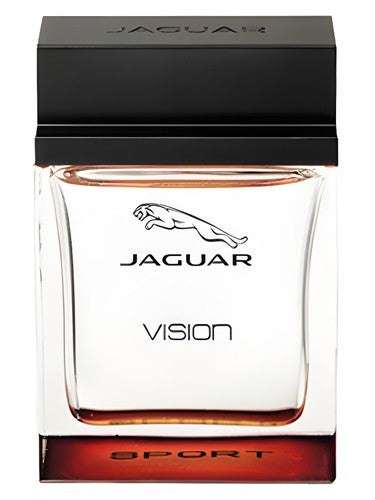 Jaguar Jaguar Vision Sport