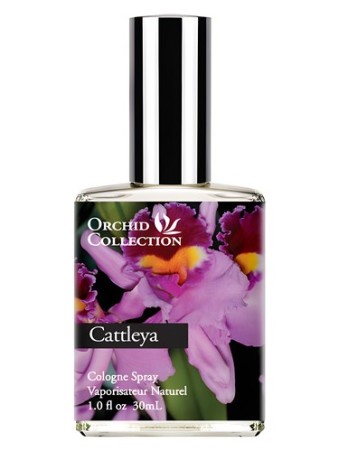 Demeter Fragrance Cattleya Orchid