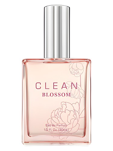 Clean Clean Blossom