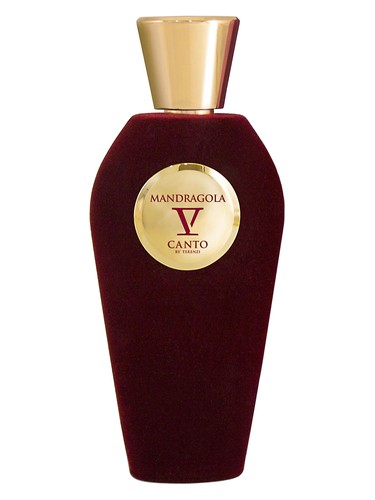 V Canto Mandragola
