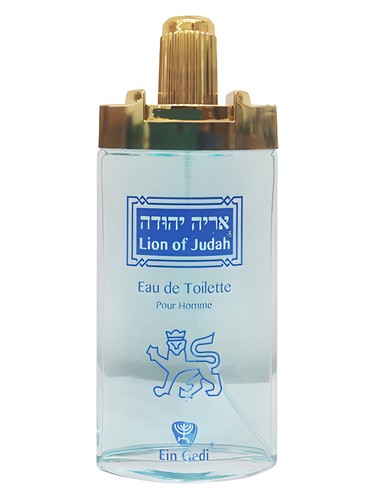 Ein Gedi Lion of Judah