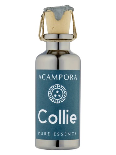 Bruno Acampora Collie – Pure Essence