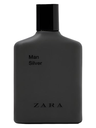 Zara Man Silver 2017