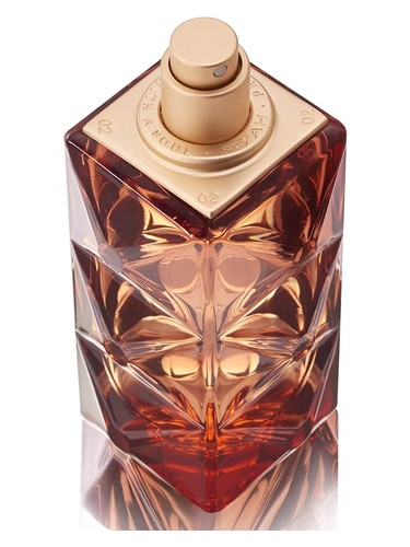 FO'AH Mémoires d'une Palmeraie 14