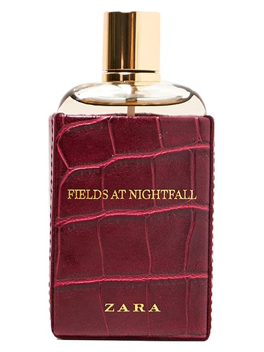 Zara Fields at Nightfall 2018