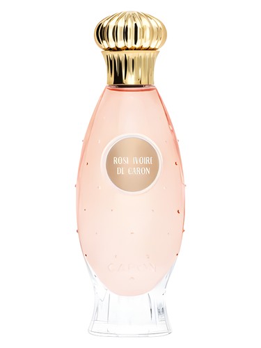 Caron Rose Ivoire