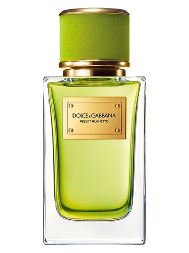 Dolce&Gabbana Velvet Mughetto