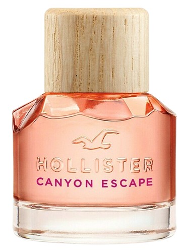 Hollister Hollister Canyon Escape Woman