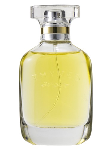 Thymes Goldleaf