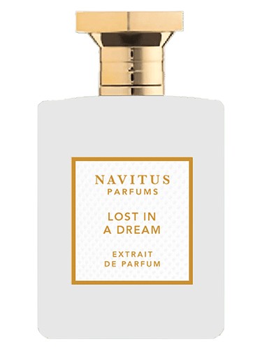 Navitus Lost in a Dream