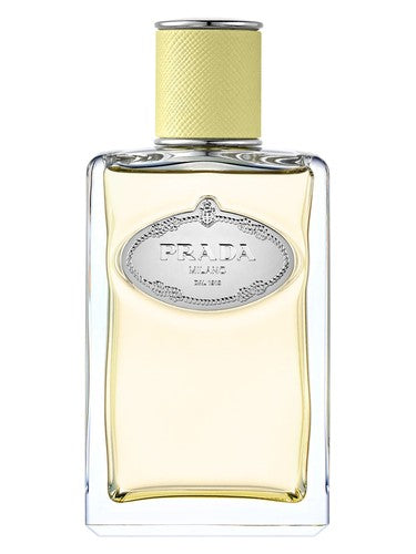 Prada Infusion de Gingembre