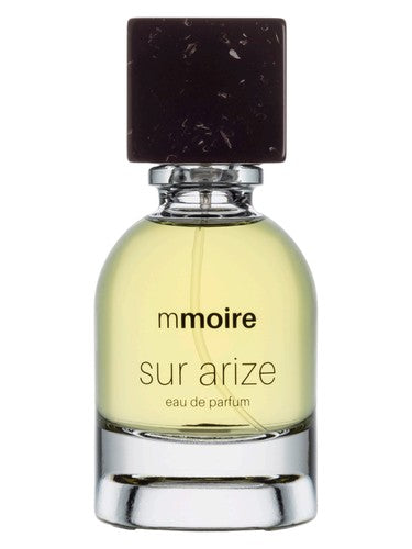 Mmoire Sur Arize