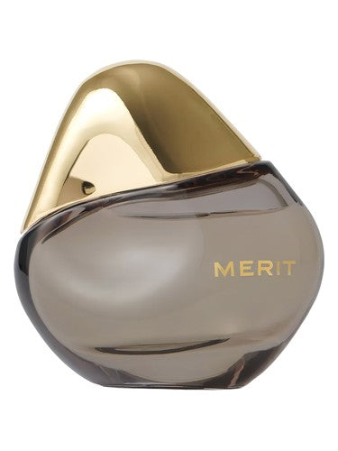 Merit Retrospect