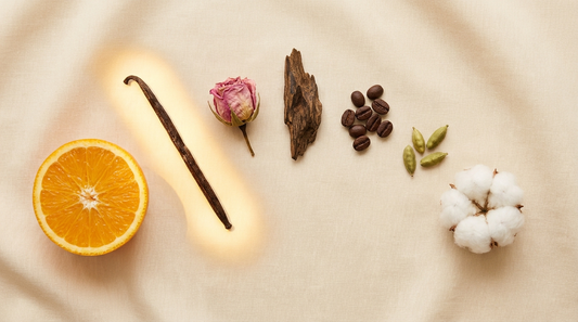 Raw perfume ingredients laid out as choices on linen, with a vanilla pod glowing as the chosen scent match