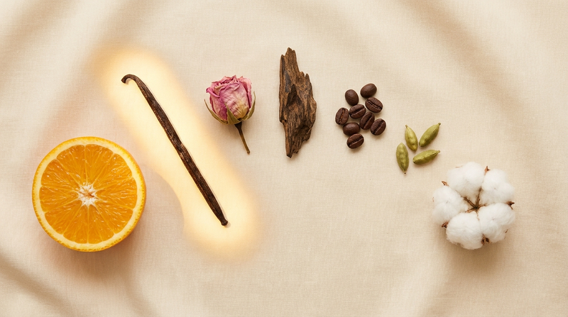 Raw perfume ingredients laid out as choices on linen, with a vanilla pod glowing as the chosen scent match