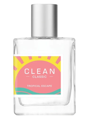 Clean Tropical Escape