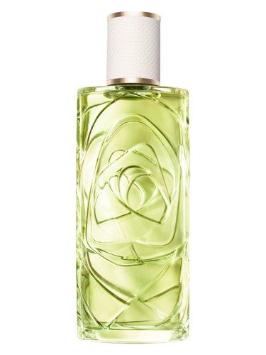 Lancôme Ôff Now