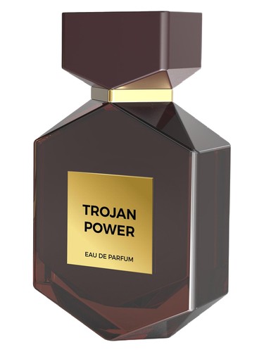 Camara Trojan Power