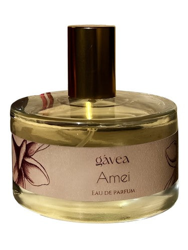 Gávea Amei