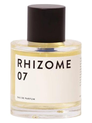 Rhizome Rhizome 07