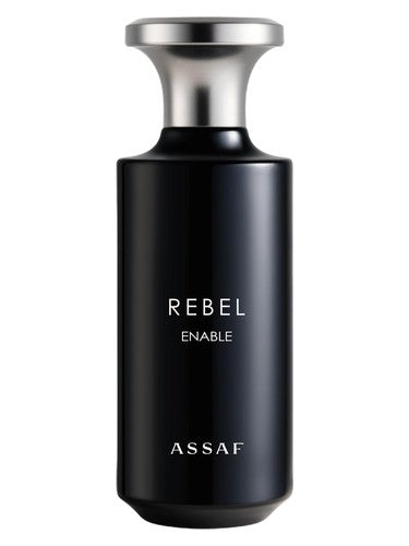 Assaf Rebel
