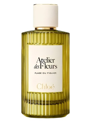 Chloé Plage du Figuier