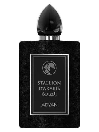 Adyan by Anfar Stallion D'Arabie
