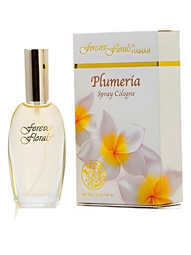 Forever Florals Hawaii Plumeria