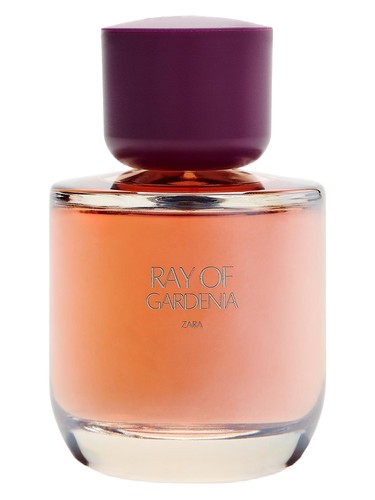 Zara Ray of Gardenia