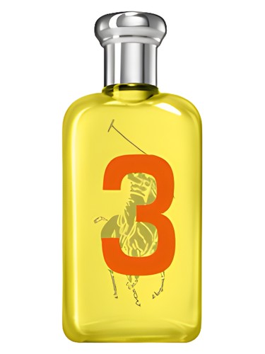 Ralph Lauren Big Pony 3 for Women