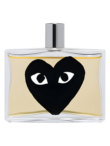 Comme des Garcons Black
