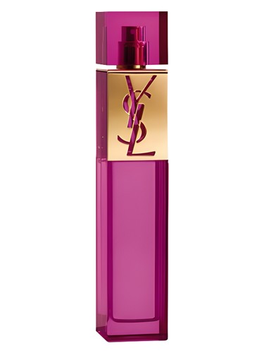 Yves Saint Laurent Elle