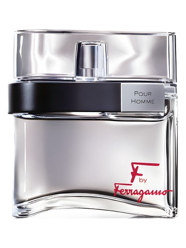 Salvatore Ferragamo F by Ferragamo Pour Homme