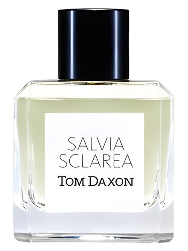 Tom Daxon Salvia Sclarea